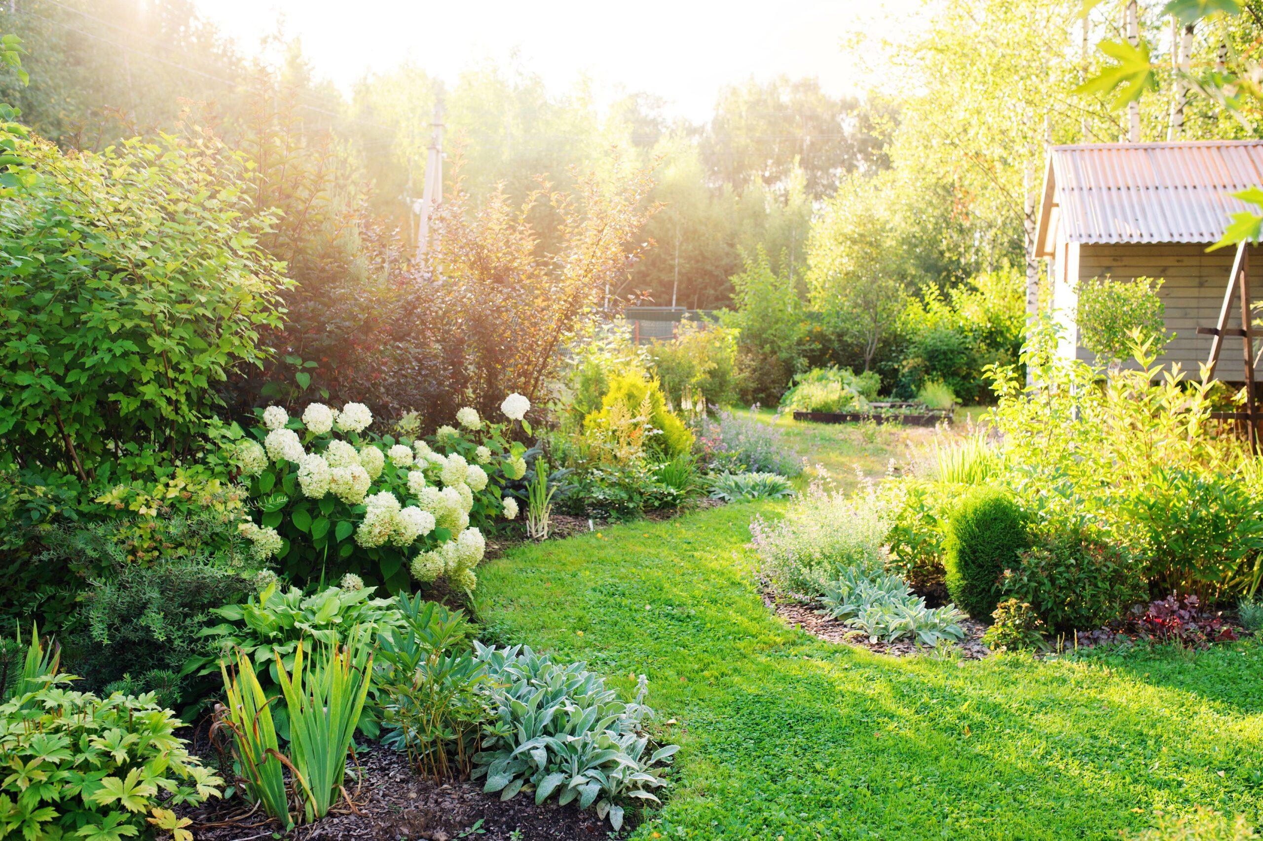 Garten mit vielen verschiedenen Pflanzen