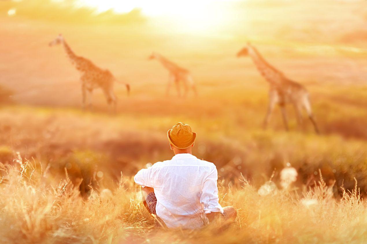 Mann sitzt im hohen Gras und beobachtet Giraffen während einer Tansania Safari im goldenen Sonnenuntergang